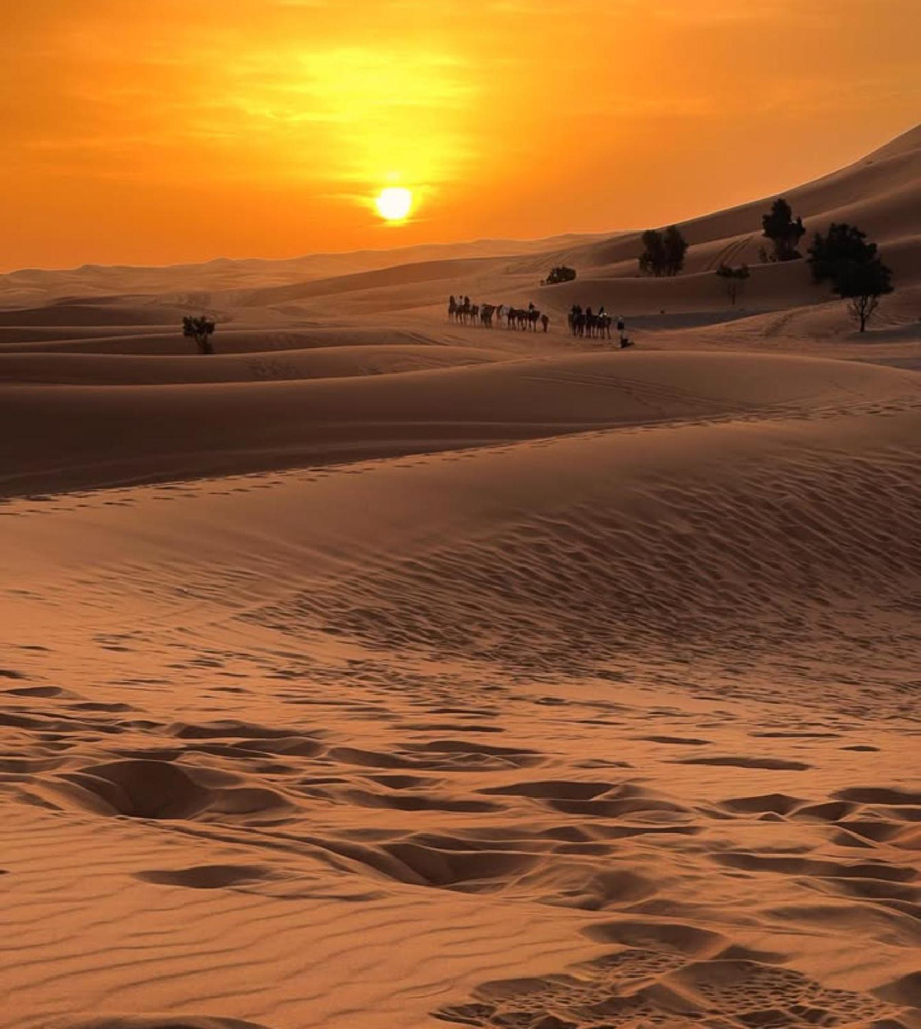 מרזאוגה Layali Luxury Desert Camp מראה חיצוני תמונה